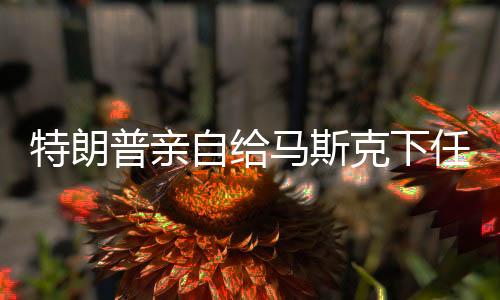 特朗普親自給馬斯克下任務，推動科技創(chuàng)新與能源轉型的重大舉措