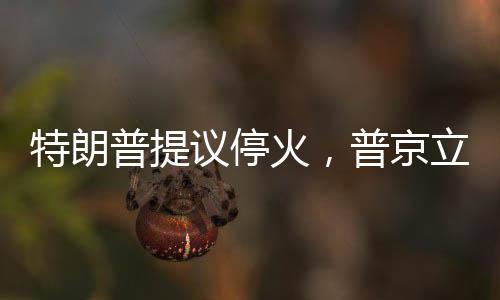 特朗普提議?；?，普京立即行動，軍事響應(yīng)背后的深層考量