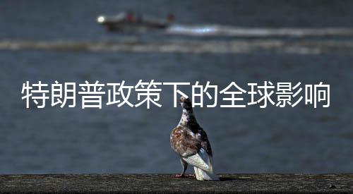 特朗普政策下的全球影響，針對所有輸美鋼鋁征收25%關稅