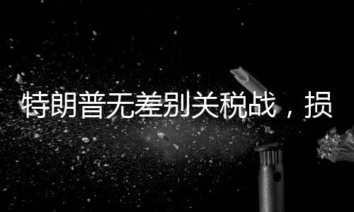特朗普無(wú)差別關(guān)稅戰(zhàn)，損失最大的究竟是誰(shuí)？