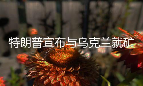 特朗普宣布與烏克蘭就礦產(chǎn)問(wèn)題達(dá)成重要協(xié)議，關(guān)鍵合作促成重大進(jìn)展