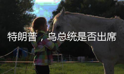 特朗普，烏總統(tǒng)是否出席和談不重要