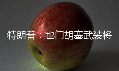 特朗普：也門(mén)胡塞武裝將被“徹底消滅”