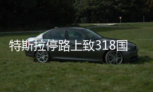特斯拉停路上致318國道擁堵三小時，事件背后引發(fā)深思