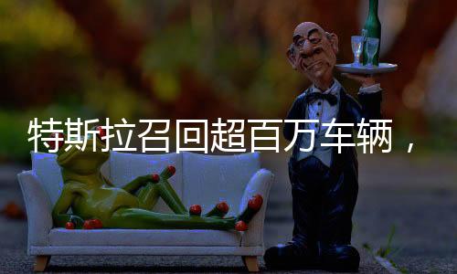 特斯拉召回超百萬(wàn)車(chē)輛，安全至上，質(zhì)量無(wú)憂(yōu)