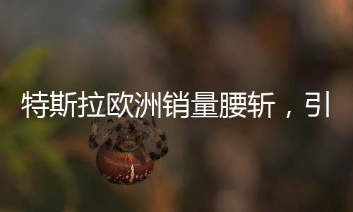 特斯拉歐洲銷量腰斬，引發(fā)市場(chǎng)深度關(guān)注