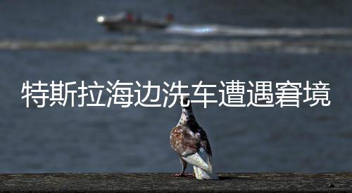 特斯拉海邊洗車遭遇窘境，車輛無法返回歸途