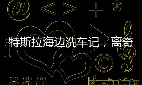 特斯拉海邊洗車記，離奇事件揭示科技與現(xiàn)實(shí)的碰撞