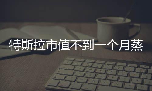 特斯拉市值不到一個月蒸發(fā)1.65萬億，全球電動汽車巨頭遭遇市場震蕩