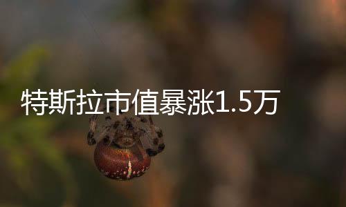 特斯拉市值暴漲1.5萬億，引領(lǐng)全球新能源汽車產(chǎn)業(yè)新篇章