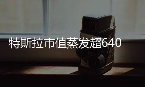 特斯拉市值蒸發(fā)超6400億，投資者信心大受考驗(yàn)