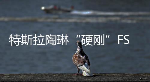 特斯拉陶琳“硬剛”FSD負(fù)面：不會(huì)給媒體付費(fèi)買(mǎi)正面報(bào)道