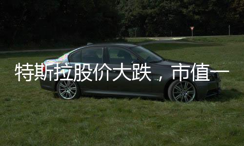 特斯拉股價(jià)大跌，市值一夜蒸發(fā)逾五千億美元——深度分析