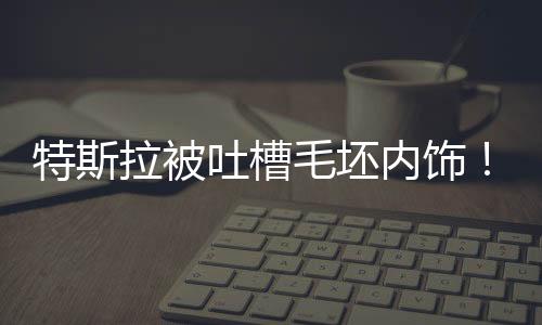 特斯拉被吐槽毛坯內(nèi)飾！陶琳：新能源車座艙不一定要奢華 必須環(huán)保