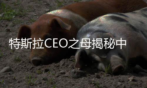 特斯拉CEO之母揭秘中國(guó)元素新風(fēng)尚，唐裝下的世界跨文化交流