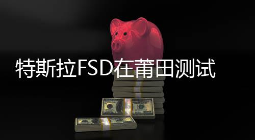 特斯拉FSD在莆田測試出現(xiàn)違規(guī)行為，連闖兩個紅燈，行業(yè)內(nèi)外引起廣泛關(guān)注