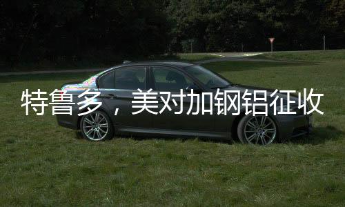 特魯多，美對(duì)加鋼鋁征收關(guān)稅不合理