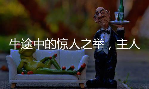 牛途中的驚人之舉，主人親歷賣牛途中牛突然下跪的奇異經(jīng)歷