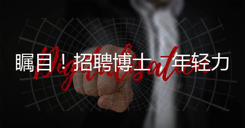 矚目！招聘博士，年輕力量等你加盟，28歲以下才子不可錯(cuò)過(guò)！
