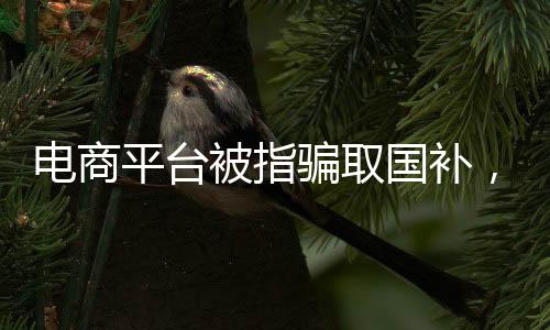 電商平臺(tái)被指騙取國(guó)補(bǔ)，聚焦背后的真相與反思