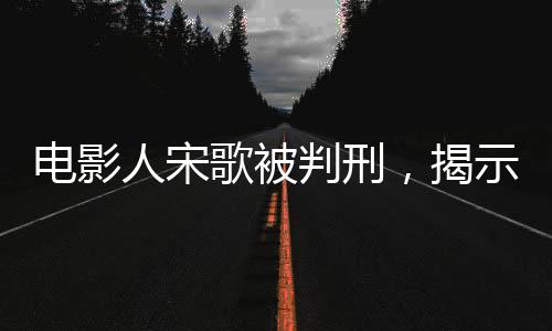 電影人宋歌被判刑，揭示業(yè)界內(nèi)幕與法律正義