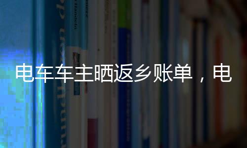 電車車主曬返鄉(xiāng)賬單，電費(fèi)成本優(yōu)勢(shì)顯現(xiàn)，比油費(fèi)便宜一半