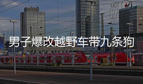 男子爆改越野車帶九條狗回鄉(xiāng)過年，人與動物情感彰顯新篇章