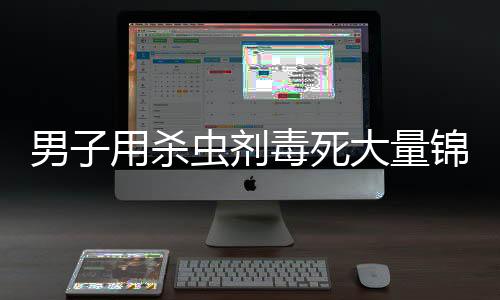 男子用殺蟲(chóng)劑毒死大量錦鯉引發(fā)社會(huì)熱議