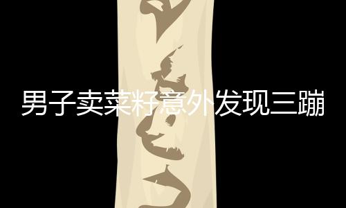 男子賣菜籽意外發(fā)現(xiàn)三蹦子載運的菜籽竟全是偷的