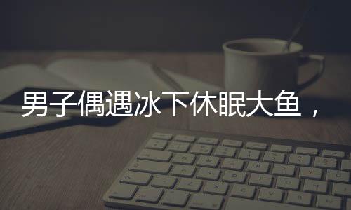 男子偶遇冰下休眠大魚，意外收獲引熱議，這是自然賦予的奇跡嗎？