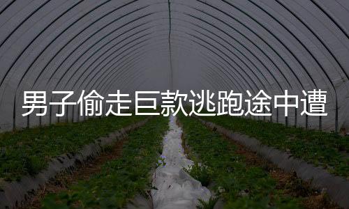 男子偷走巨款逃跑途中遭遇車(chē)禍，警方緊急介入調(diào)查