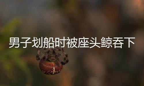 男子劃船時被座頭鯨吞下后吐出，奇跡般的生存故事