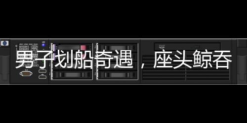 男子劃船奇遇，座頭鯨吞而復吐驚魂時刻
