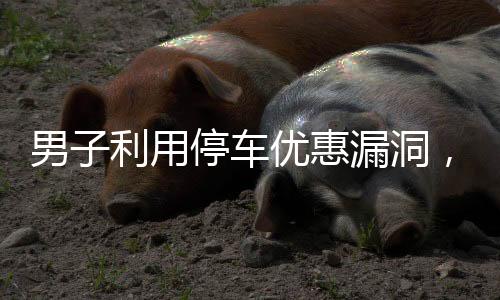 男子利用停車優(yōu)惠漏洞，頻繁逃費被曝光，涉嫌逃費停車費達(dá)71次