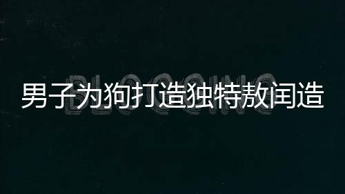 男子為狗打造獨(dú)特敖閏造型，一場創(chuàng)意與寵愛的結(jié)合