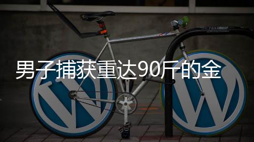 男子捕獲重達(dá)90斤的金黃色鰱鳙魚，罕見漁獲震驚社區(qū)