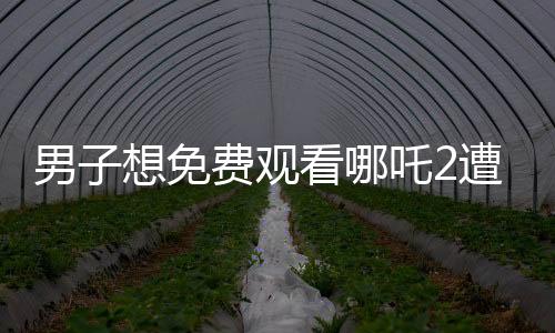 男子想免費觀看哪吒2遭遇騙局，損失880元
