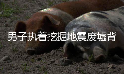 男子執(zhí)著挖掘地震廢墟背后的故事，關(guān)于退休的深刻解讀