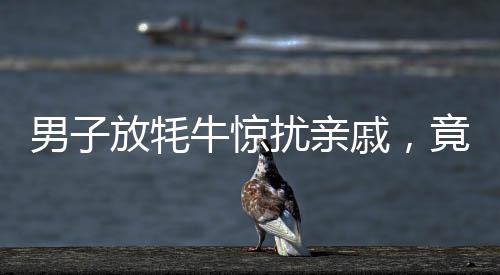 男子放牦牛驚擾親戚，竟致其爬路燈桿——一則趣事揭示生活百態(tài)