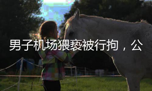 男子機(jī)場(chǎng)猥褻被行拘，公眾對(duì)治安秩序更加重視
