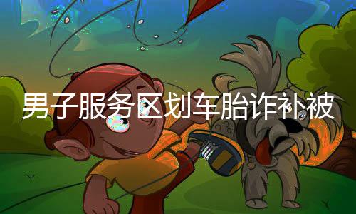 男子服務(wù)區(qū)劃車胎詐補(bǔ)被刑拘，一起探究事件的來(lái)龍去脈