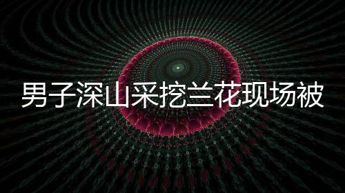 男子深山采挖蘭花現(xiàn)場被擒，法律對野生植物保護的嚴(yán)峻警示