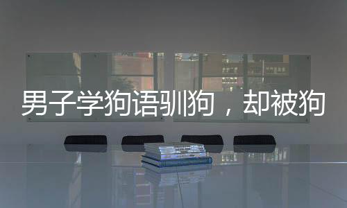 男子學(xué)狗語(yǔ)馴狗，卻被狗狗撲咬，揭秘背后的故事