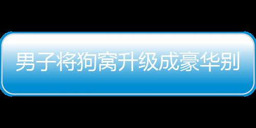 男子將狗窩升級(jí)成豪華別墅，人與寵物的溫馨共享空間
