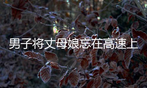 男子將丈母娘忘在高速上，一場意外的家庭插曲