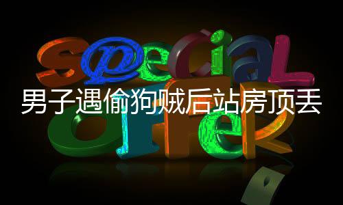 男子遇偷狗賊后站房頂丟磚頭猛砸，英勇舉動(dòng)贏得社會(huì)點(diǎn)贊