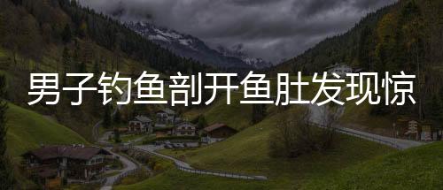 男子釣魚剖開魚肚發(fā)現(xiàn)驚人秘密，魚肚內(nèi)藏有假餌十七個