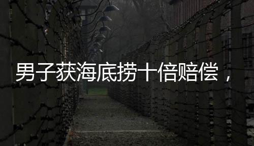 男子獲海底撈十倍賠償，朋友要求平分——引發(fā)賠償分配問題的熱議