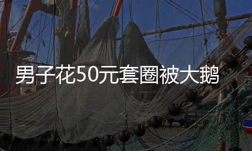 男子花50元套圈被大鵝上課——城市娛樂(lè)活動(dòng)的意外收獲