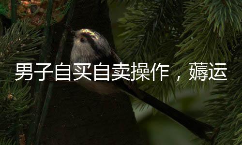 男子自買自賣操作，薅運(yùn)費(fèi)險(xiǎn)獲利超200萬(wàn)